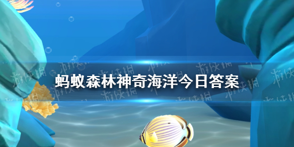 嶯 溣429մ