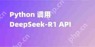 PythonDeepseek
