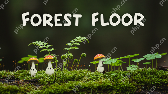 Forest FloorSteam ƥ̽