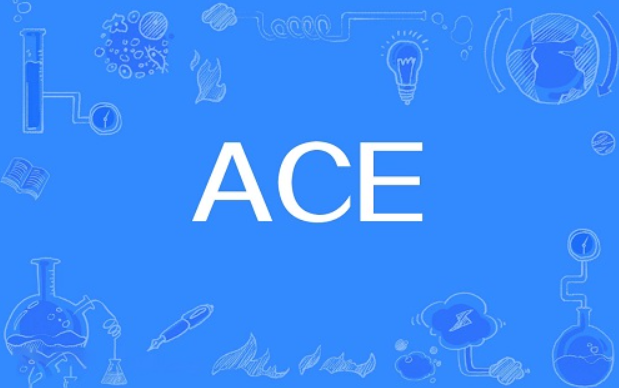 ACE⣺EnduranceĶ๦ܴ
