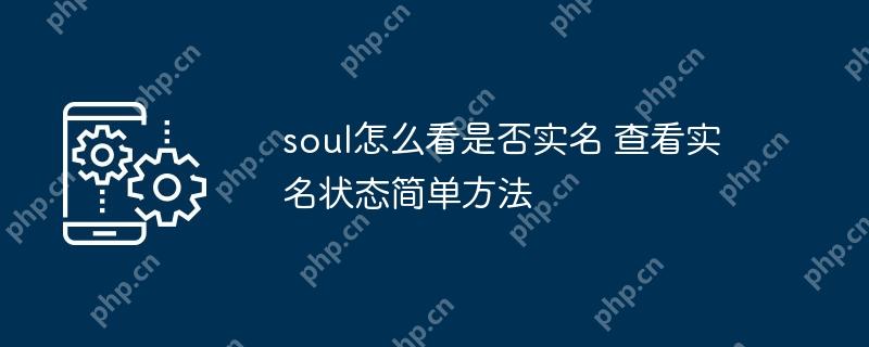 soulôǷʵ 鿴ʵ״̬򵥷
