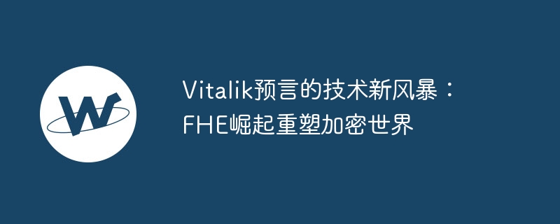 FHEVitalikԤԵļʱ