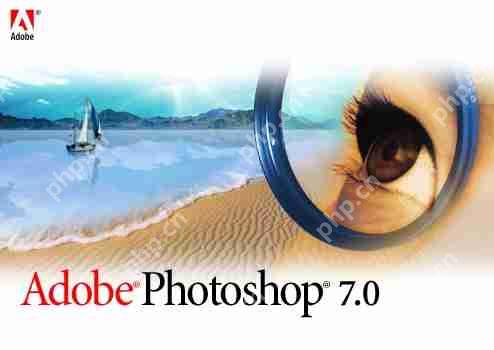 photoshop7.0ôֱߣphotoshop7.0ֱߵĲ