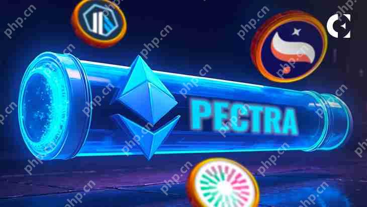 ̫pectra˵ڶARBStarknetStarknetStrkMantleMNTļ