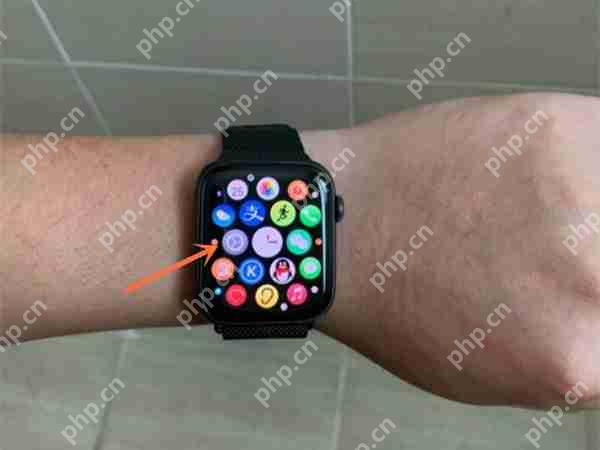 applewatchô