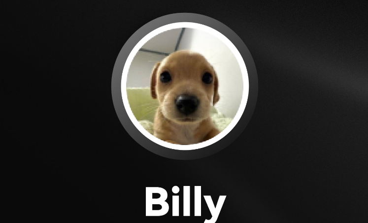 BILLY⣺мۡƤ
