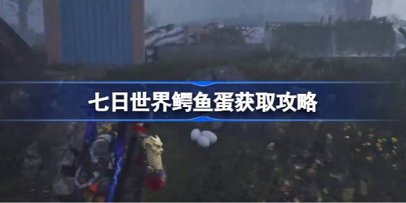 㵰ôȡ