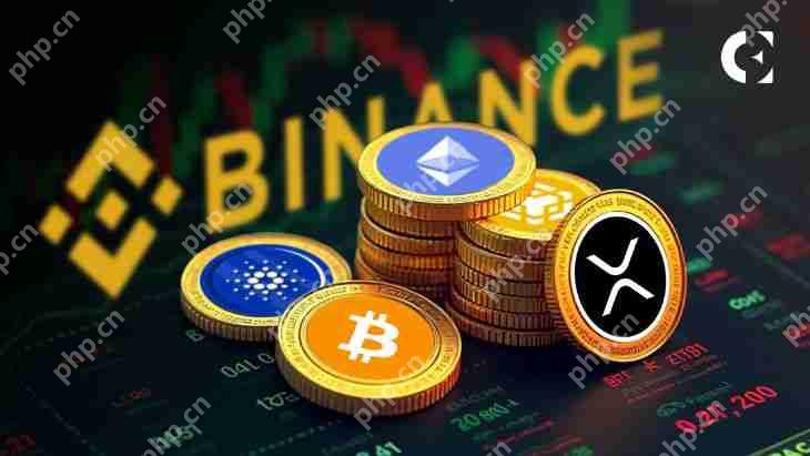 ½Binance20254쵼CEXг