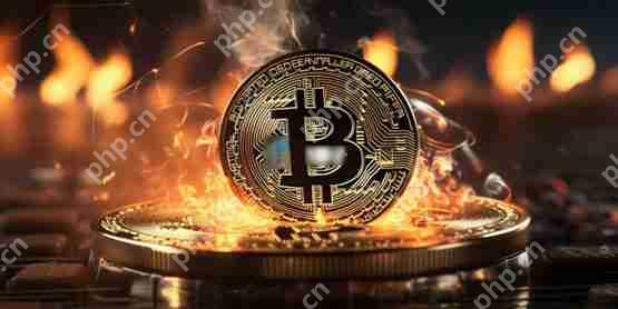 CryptoQuantرһͻ80%ߵ㲻Զ