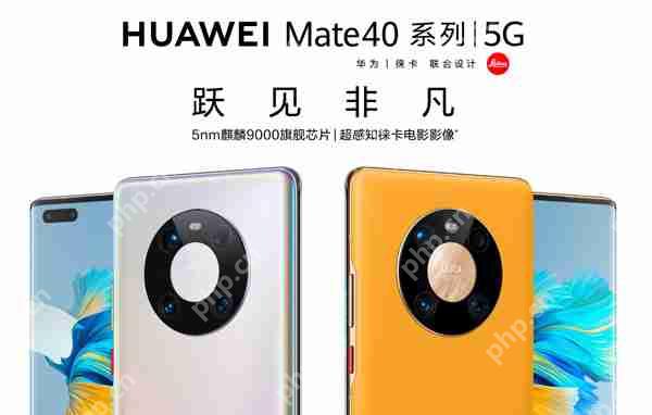 Ϊmate40ʲôʱ