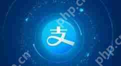 ֧APPôرСǮرСǮķ˵