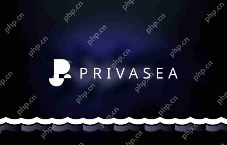 ʲôPrivasea AI(PRAI)PRAIֵͶ