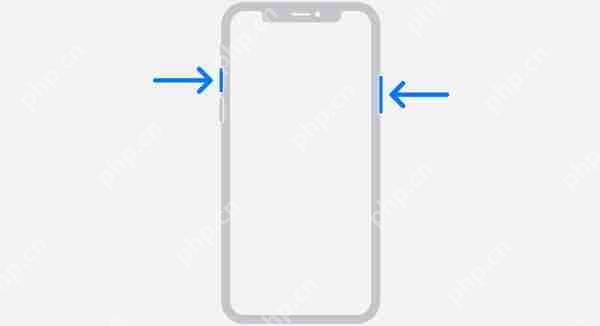IPhone13ôĻ