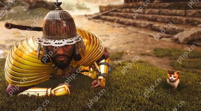 ̸̿ӰԶޱ ׽ɱ¾