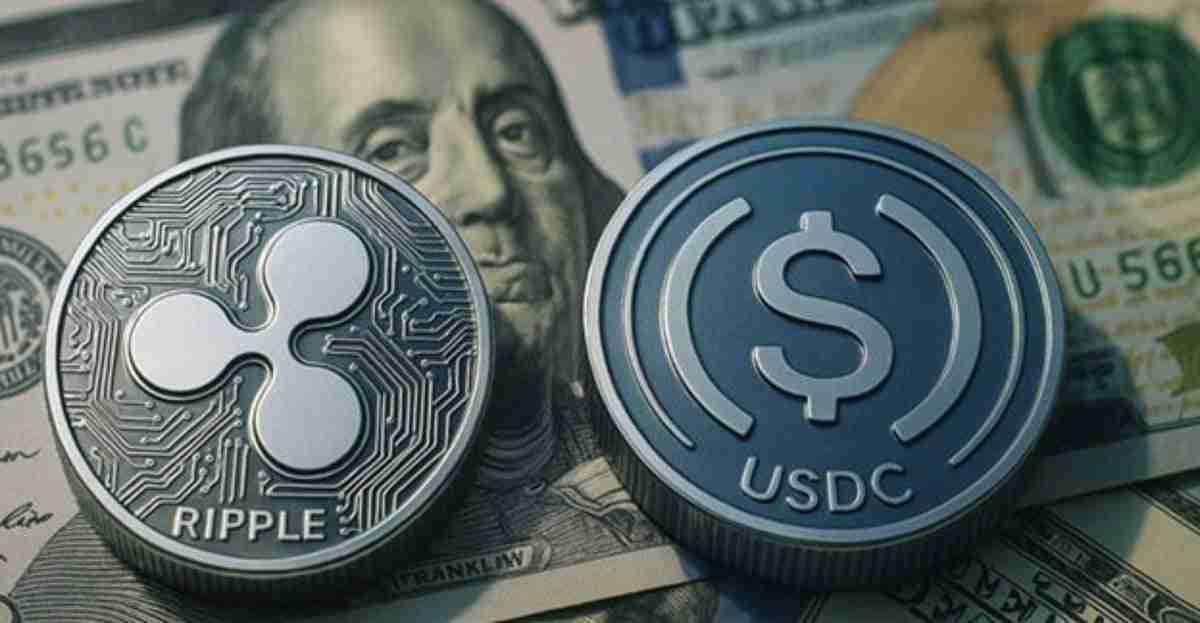 ḻXRP㽫㵹XpfinanceԤУԲ30嵥