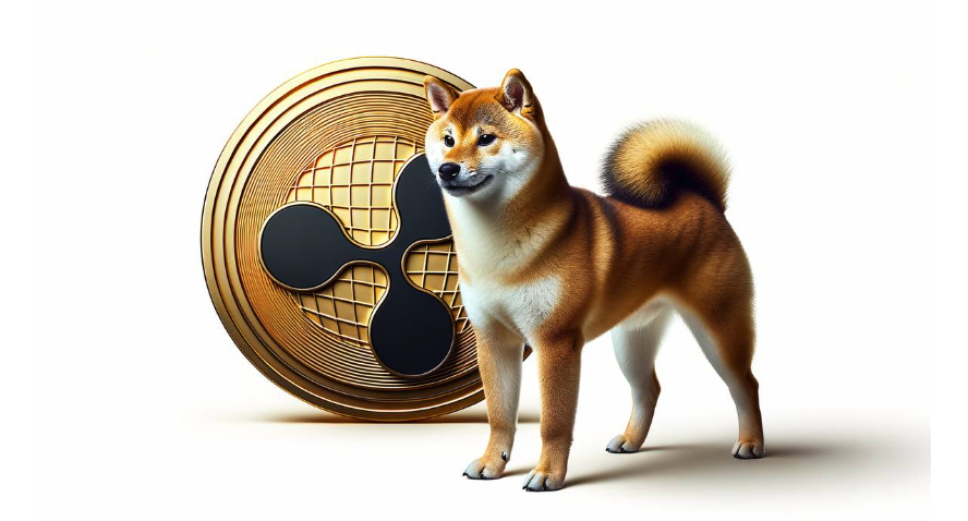 2025ʮҽappȨƼ
