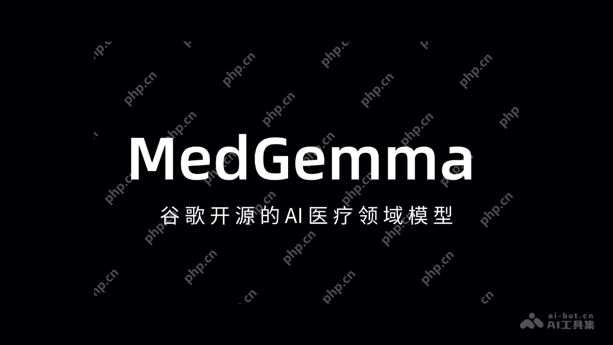 MedGemma ȸ迪ԴAIҽģ