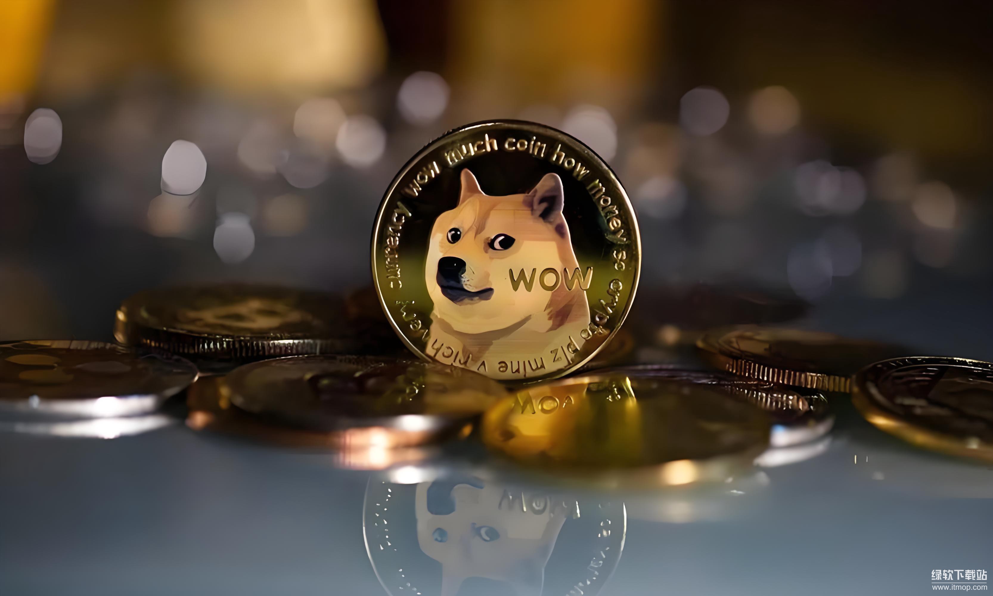 DogekingǰǱս