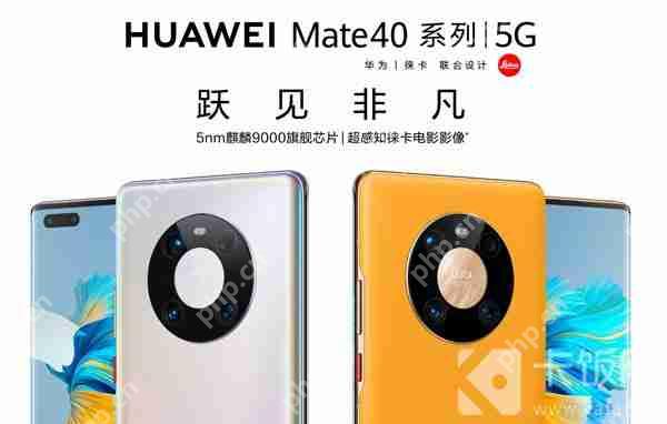 Ϊmate40ɫĸÿ