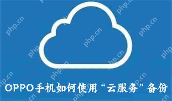 OPPOֻʹáƷ񡱱