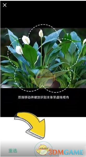 《形色》识别植物方法_wishdown.com 《形色》识别植物方法_wishdown.com