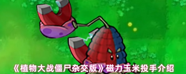 ֲսʬӽ桷Ͷֽ