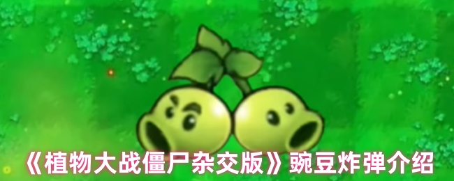 ֲսʬӽ桷㶹ը