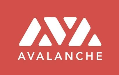 AVAXֵǧͶǱ