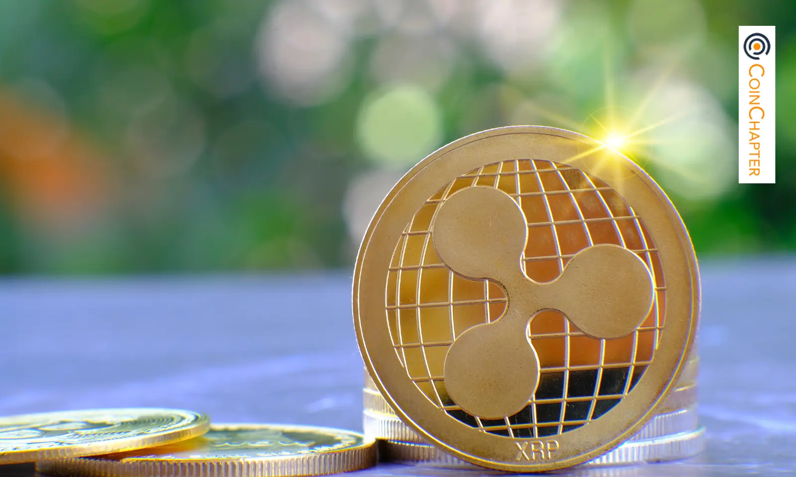 XRP۸񹮹