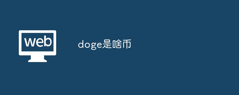 Doge⣺Цҵ֧ߵĽ