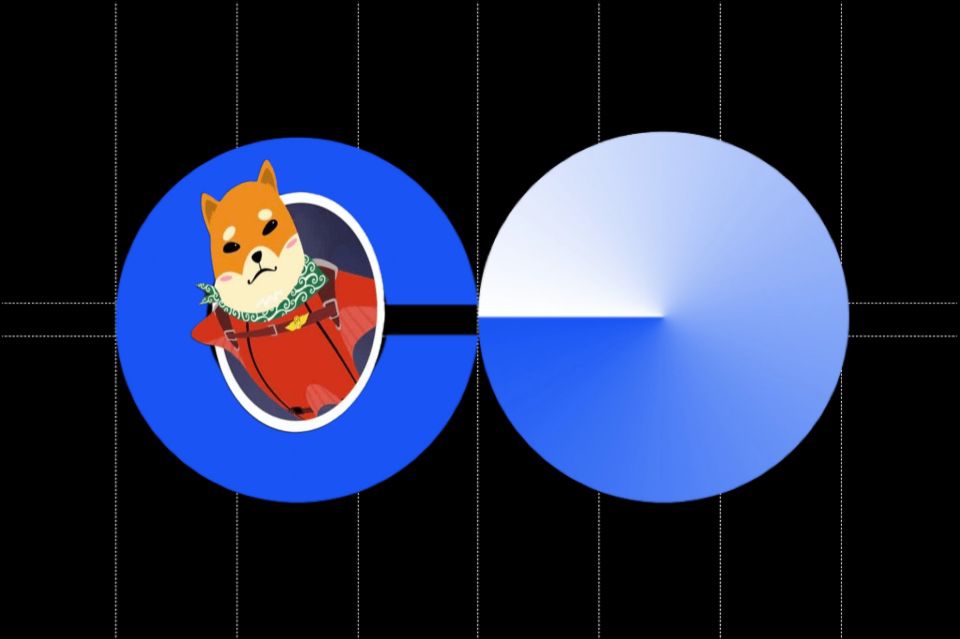 Baseţ2024ĿͶָ
