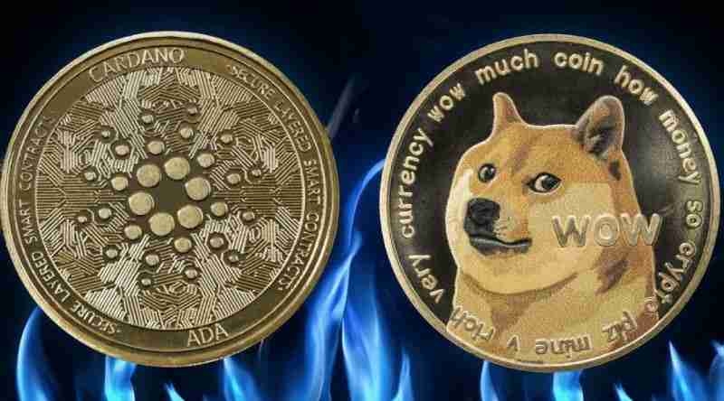 (DOGE)Ϳŵ(ADA)20256Ԥ ADA ͹һӭ۸Ĵ