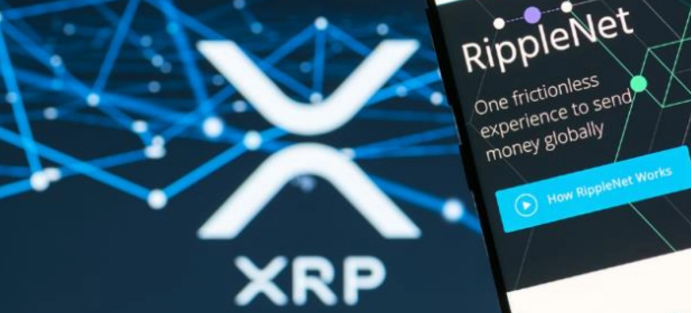 XRP1000ö̶Ӧȶг