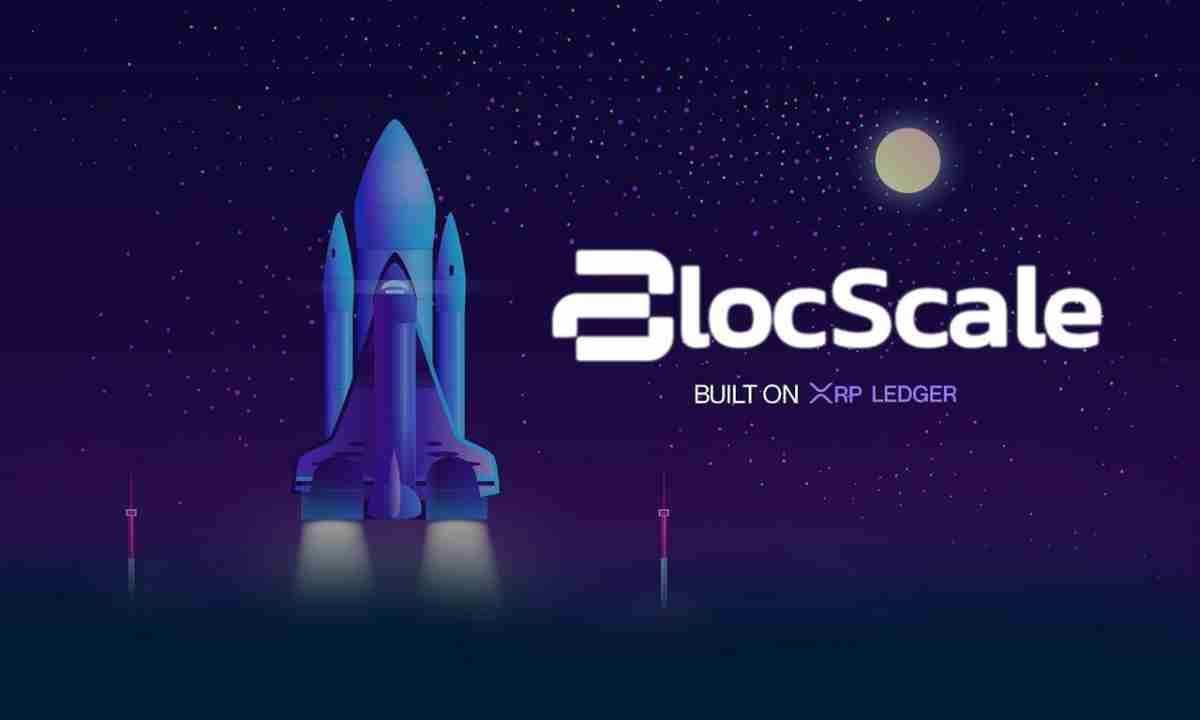 XRP̬£Blocscale IDOƽ̨Ͷȳ