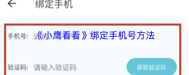 ��Сӥ���������ֻ��ŷ���