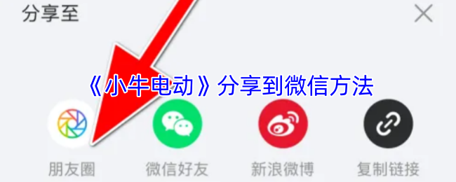 Сţ綯΢ŷ