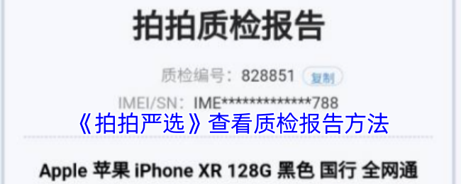 ѡ鿴ʼ챨淽