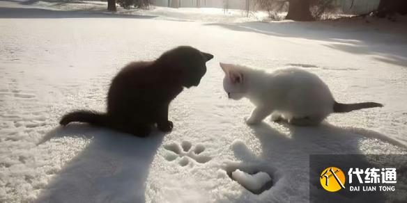 ӢˡƼȫ
