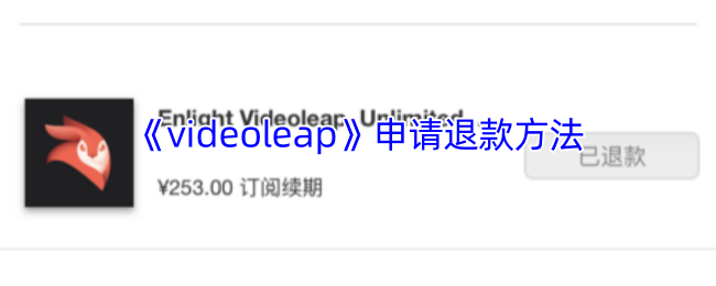 videoleap˿