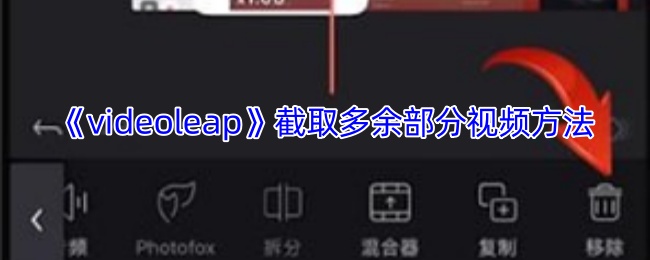 videoleapȡಿƵ