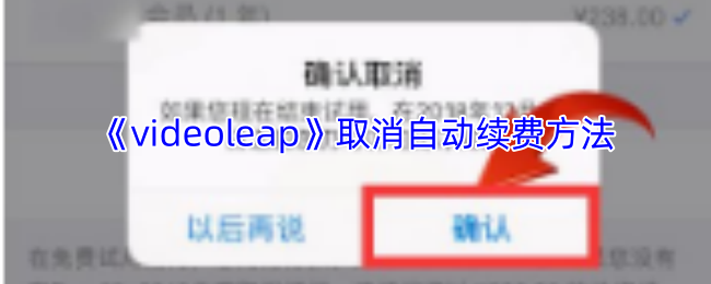 videoleapȡԶѷ