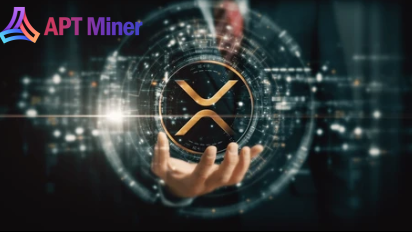 APT MinerXRPSolanaSol˵Ͷ