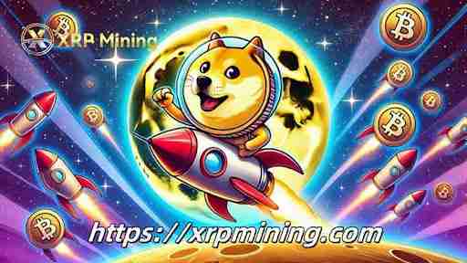 һλ߼Dogecoinڶ̶7ͨھ˸ߴ53200Ԫ