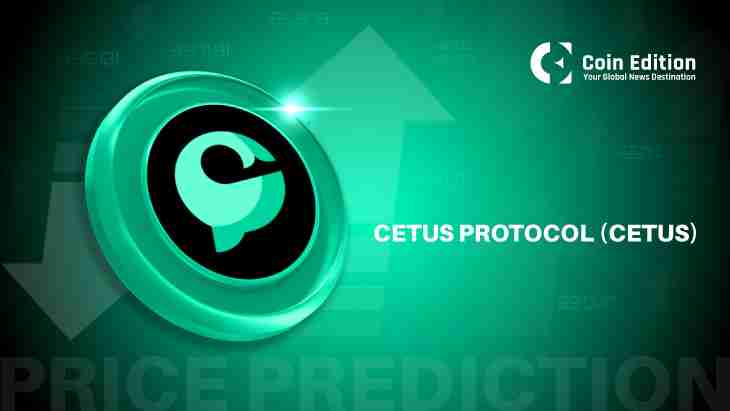 CETUSCETUS۸Ԥ -  20256