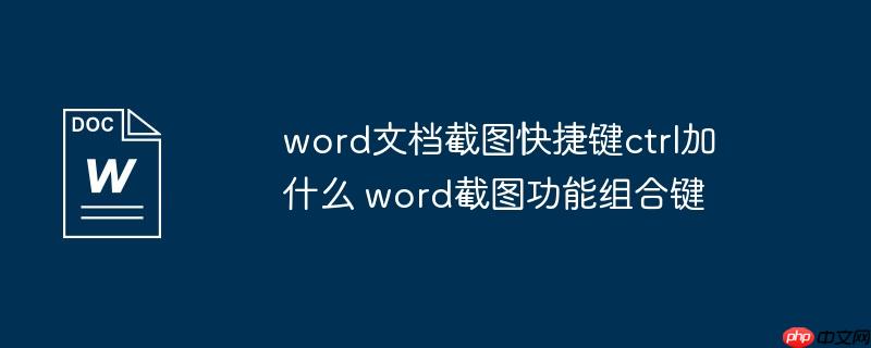 wordĵͼݼctrlʲô wordͼϼ