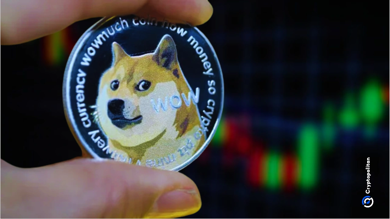 DogecoinڿȳСҵ»