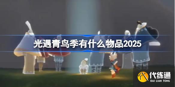 ʲôƷ 2025һ