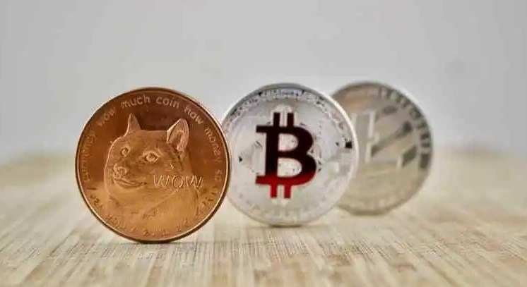 DogeͶʣ߷ո߻ر