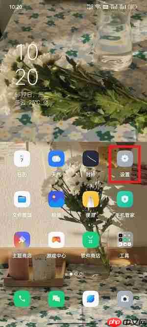 coloros12ؿռô