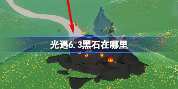 6.3ʯ